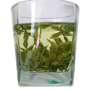 日照绿茶 2026年新茶山东茶叶自产自销特级春茶 200一斤