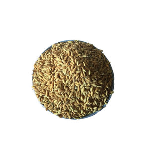 安徽芜湖农村新稻谷自种谷子稻子喂鸡鸭早稻谷20斤10kg带壳谷包邮