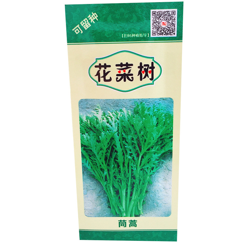 春播农家茼蒿籽非转基因蔬菜种子四季阳台易种盆栽农家种小青菜苗