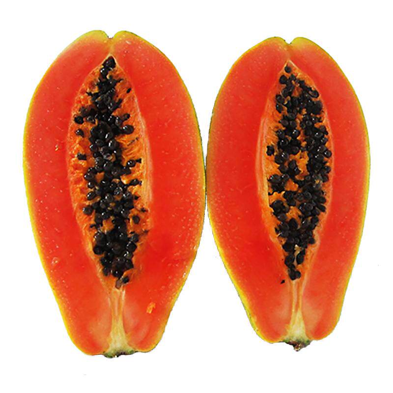 海南特带水果冰糖木瓜 牛奶红心木瓜
