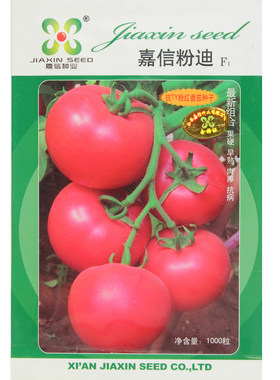 嘉信粉迪番茄种子 抗TY黄化卷叶病毒 粉红果 大果 果硬 高产3万斤