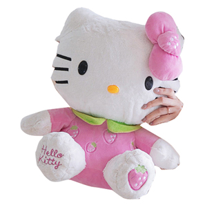 卡通KT猫暖手宝防爆可拆洗女暖宝宝毛绒可爱HelloKitty充电热水袋