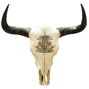 天然牦牛头骨工艺品白色真牛头牛头装饰品特色壁饰手工艺礼品摆件