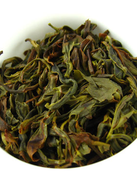 八仙茶诏安头采春茶2025