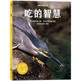 感恩钜惠  后浪正版  动物的智慧系列之吃的智慧 儿童自然生命启蒙科普知识趣味百科全书 珍藏图鉴摄影图片集