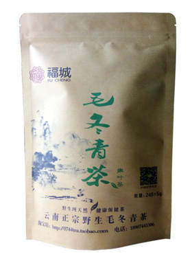 云南毛冬青青山绿水野生