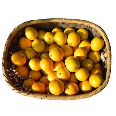 正宗湖南郴州永兴特产冰糖橙