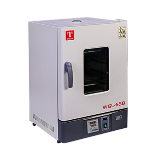 电热鼓风干燥箱 天津泰斯特WGL-125D恒温箱WGL-45L恒WGL-65D 烘箱