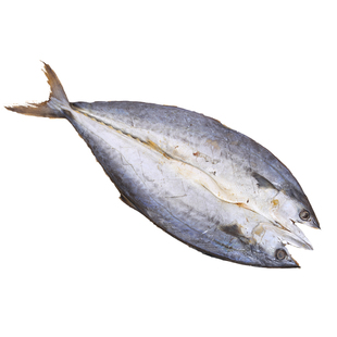 青岛甜晒一卤鲜鲅鱼大鲅鱼干低盐真鲅鱼干片咸鱼干货马鲛鱼包邮