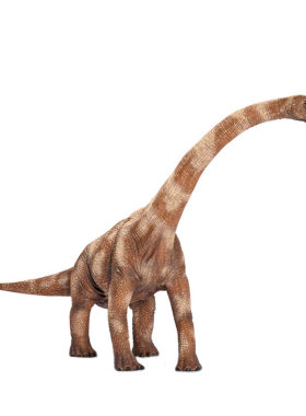 Schleich/思乐恐龙PVC仿真动物