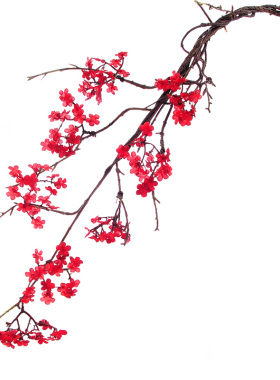 北京西尚玫瑰客厅梅花干枝小碎花
