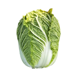 秋季大白菜种子黄心高产耐热耐寒抗病毒耐贮藏秋冬白菜蔬菜菜籽孑