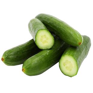 壹香 水果黄瓜500g 无刺小黄瓜短小青瓜生吃沙拉食材新鲜蔬菜