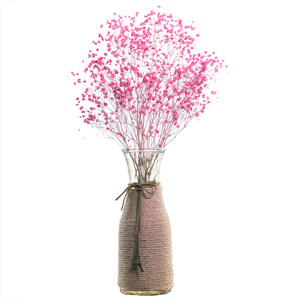 满天星干花瓶干花花束风干客厅卧室电视柜家居摆设套装生日小清新