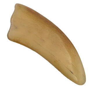 刮痧板美容脸部提拉全身通用牛角刮痧板腿部专用经络背部家用包邮