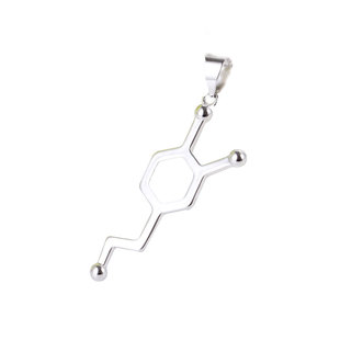 毕业礼物 多巴胺分子理科生的纯银项链RNA化学分子式小众锁骨链潮