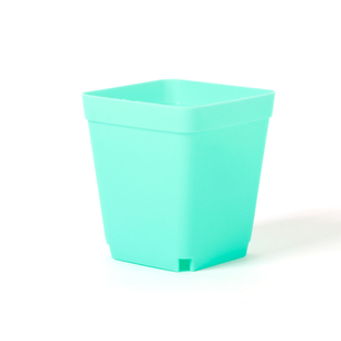 多肉塑料方盆彩色花卉植物小多肉花盆加厚优质小黑方盆收纳塑料筐