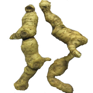 新鲜黄精现挖现发鸡头黄精深山生黄精九蒸九晒姜黄精爪子参甜黄精