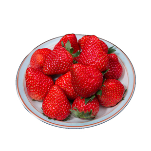 红颜草莓新鲜现摘3斤长丰奶油草莓精品当季水果顺丰整箱包邮