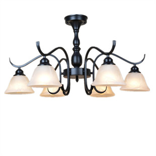 欧式铁艺吊灯简约美式田园烤漆客厅餐厅卧室吸顶灯饰灯具包邮