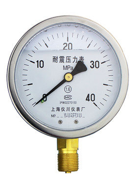 耐震压力表yn60/100液压抗震表
