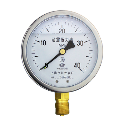 耐震压力表yn60/100液压抗震表