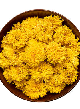特级云台山菊花茶正品