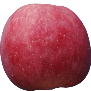 精品甘肃静宁红富士静宁苹果包邮当季鲜果