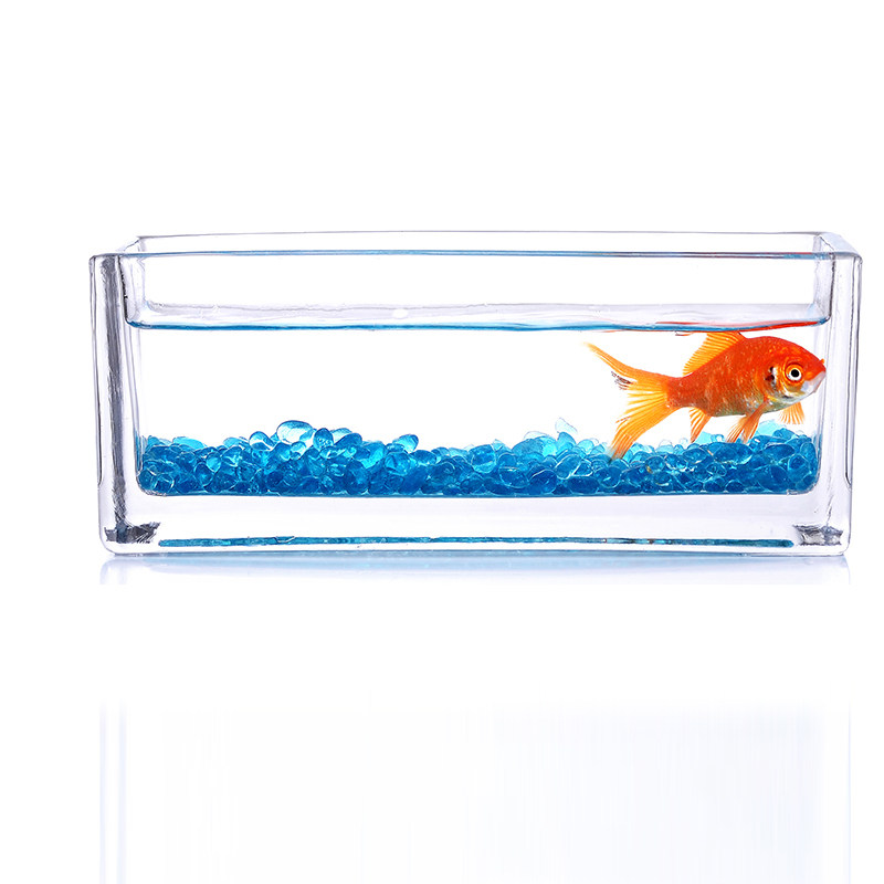 玻璃鱼缸小型创意桌面造景水族箱
