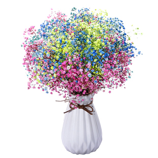 满天星干花花束家居摆设天然风干真花客厅卧室装饰摆件带瓶干花束