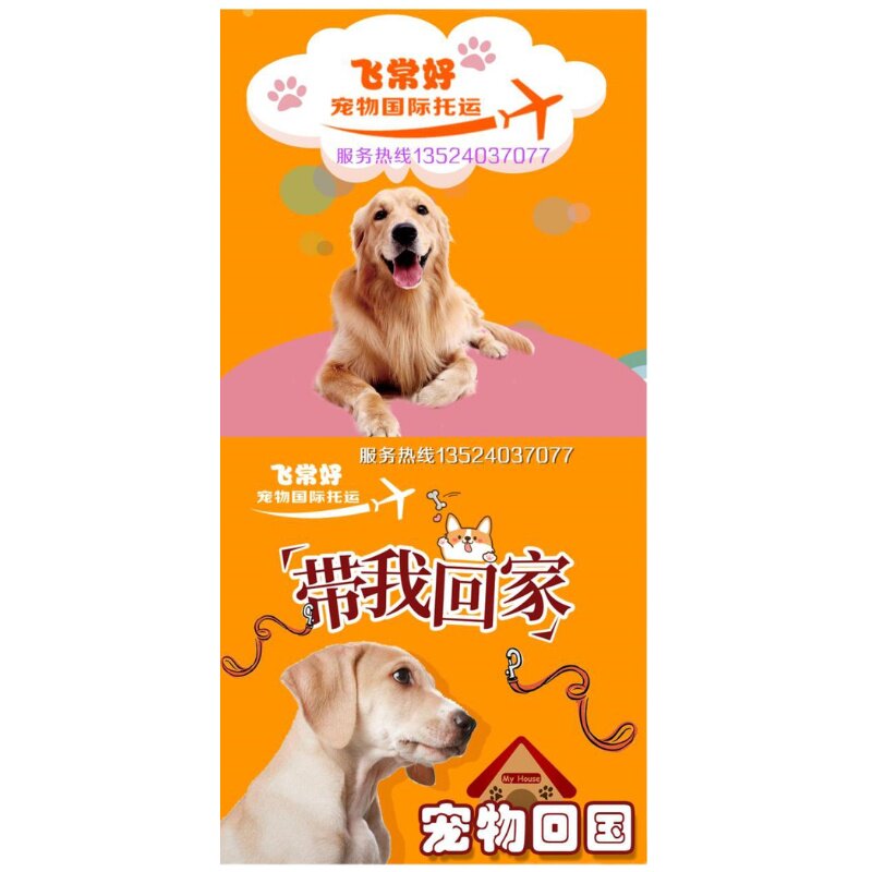 宠物托运服务全国国际证明手续