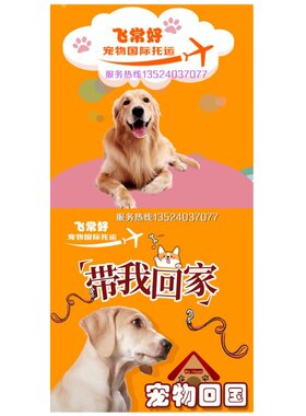 宠物托运服务全国国际证明手续