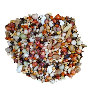 魔术鸽粮斑鸠粮20合1斑鸠专用混合粮鹦鹉粮鸟食鸽粮一件五斤包邮