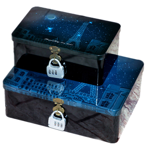 包邮 大号收纳盒带锁铁盒大号中号锁盒化妆品整理箱 密码锁盒子