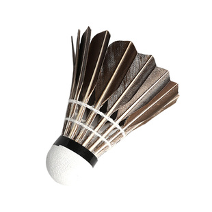 迪科斯羽毛球12只装 耐打王训练用塑料尼龙胶球6室内室外打不易烂