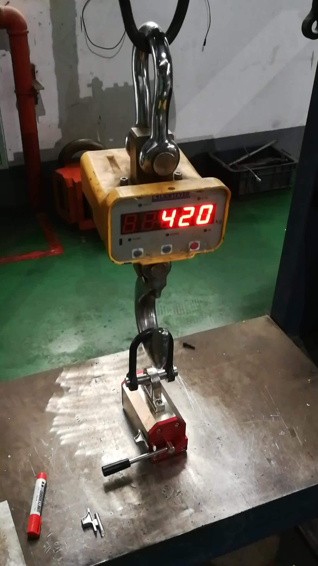 1 Ton Customized Lifter Lifting 1000kgf Buy Lifting