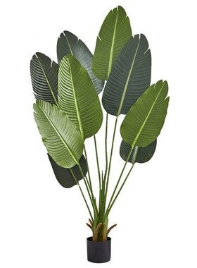 芈阳仿真植物盆景橱窗装饰