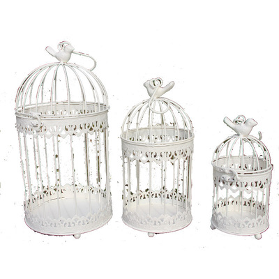 欧式风鸟笼多肉婚庆道具装饰品