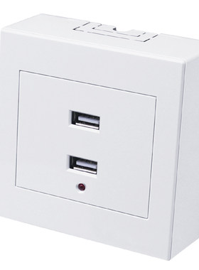 86型两位USB插座面板220V转5V两孔2个USB充电墙壁插座低压36V转5V