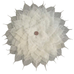 叶脉菩提叶装饰画书签茶滤树叶创意材料创意植物标本禅意中国风