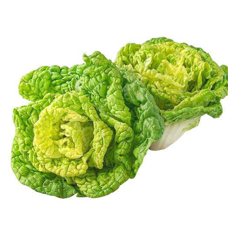 黄心乌种子蔬菜种籽菜籽