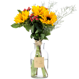 【玖束】鲜花包月一周一花 鲜花同城 速递居家办公室杭州花店