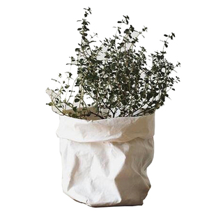 ins北欧水洗牛皮纸袋撕不烂花艺纸袋花瓶收纳整理袋拍照