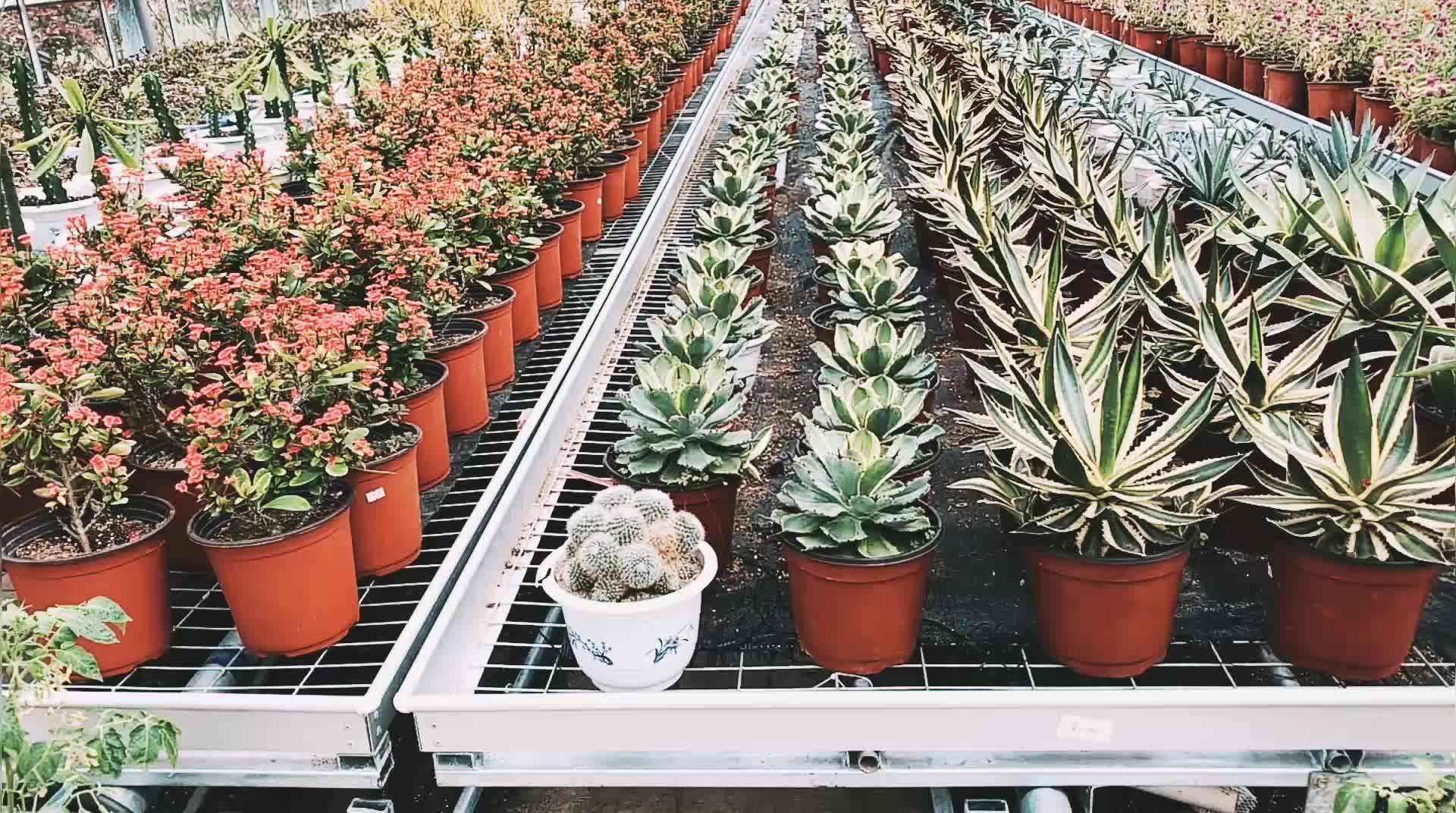 Twocolor Nursery Pot Plastic Pp Simple Flower Pot Creative Wholesale