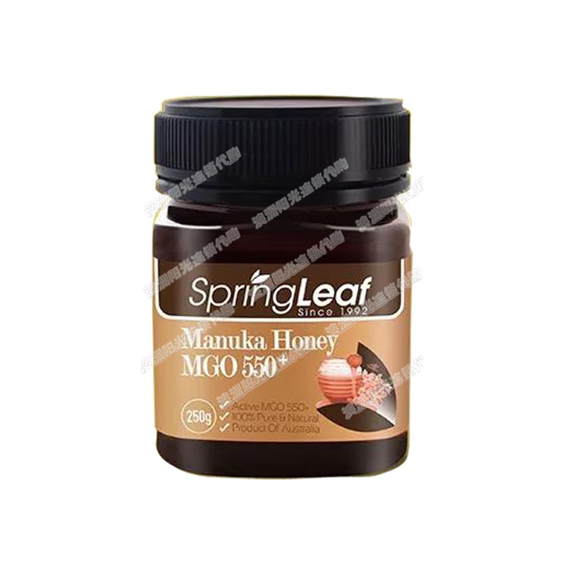 澳洲原产Spring Leaf麦卢卡蜂蜜Manuka纯正天然蜜MGO550+包邮包税