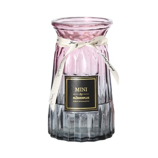 北欧玻璃花瓶透明水养富贵竹冬青雪柳干花水培鲜花创意客厅插摆件