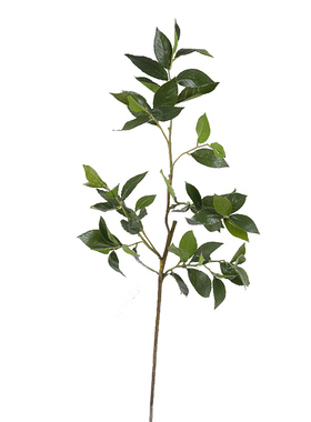 晶华仿真叶子简约北欧家居桉树叶月桂叶装饰假芭莎叶网红尤加利叶
