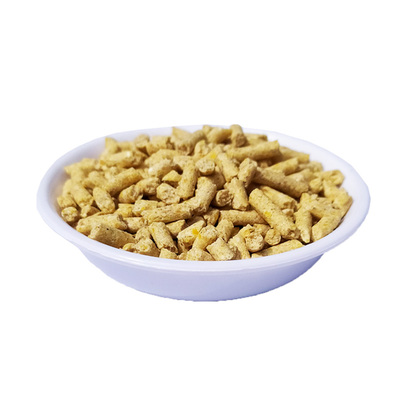 白玉蜗牛蜗牛饲料乐呵基地买就送