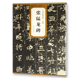 北魏 张猛龙碑 传世历代碑帖精粹 全文原色原帖简体旁注魏碑楷书字卡毛笔书法字帖成人学生临摹范本安徽美术出版社 40页16开本