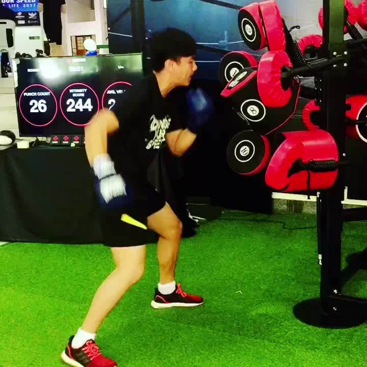 Fitness Equipment Gym Adjustable Boxmaster Buy Fitness Equipment Adjustable Boxmaster,Fitness